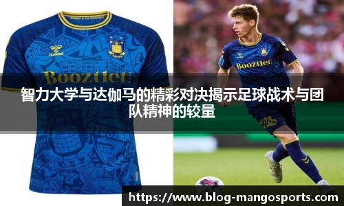 芒果体育官网入口